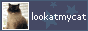 lookatmycat.png