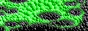 g1.gif