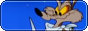 stupendouscoyote_rounded.png