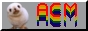 ACMbutton3.jpg