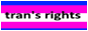TRANS_RIGHTS_BUTTON.png