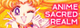 asrbutton2.png