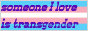 ally.png
