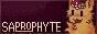 saprophyte.jpg