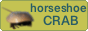 horseshoecrab.gif