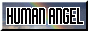 humanangel.png