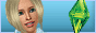 banner_nash.gif