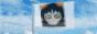 vasterror.gif