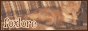 foxlore.png