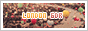 archived 88x31 button #95760