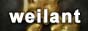 weilantnet.jpg