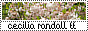 archived 88x31 button #95941