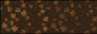 thecozycat.png