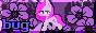 button.gif
