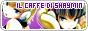 archived 88x31 button #96120