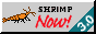smallorangecherrym.png