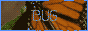 archived 88x31 button #96200