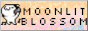 moonlit-blossom_2.gif