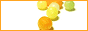 sample.gif