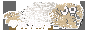 inflore.png