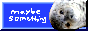 archived 88x31 button #96383