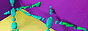 dx.gif