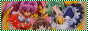 archived 88x31 button #96644