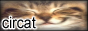 circat.png