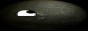 Trusty%20Bug%20Collection%20Button.jpg