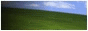 archived 88x31 button #96989