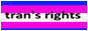 003-trans.jpg