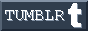 tumblr-button.png