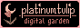 platinumtulip.gif