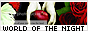 archived 88x31 button #97401
