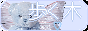 ambulansarbores.png