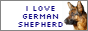 i%20love%20german%20shepherd.png