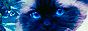 170628060514228669.png