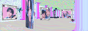 kitties.png