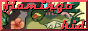 flamingokid_2.png