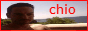 websitebutton.gif