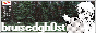 bruisedgh0st.png