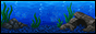 aquarium.gif