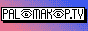 palomakop.gif