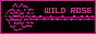 wild-rose.png