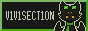 v1v1section.gif