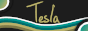 teslaButton.gif