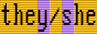 pronoun-vga-they-she-inter.png