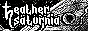 MXCK6dn.png