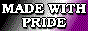 msx.gay-ace.png
