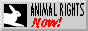 archived 88x31 button #98331